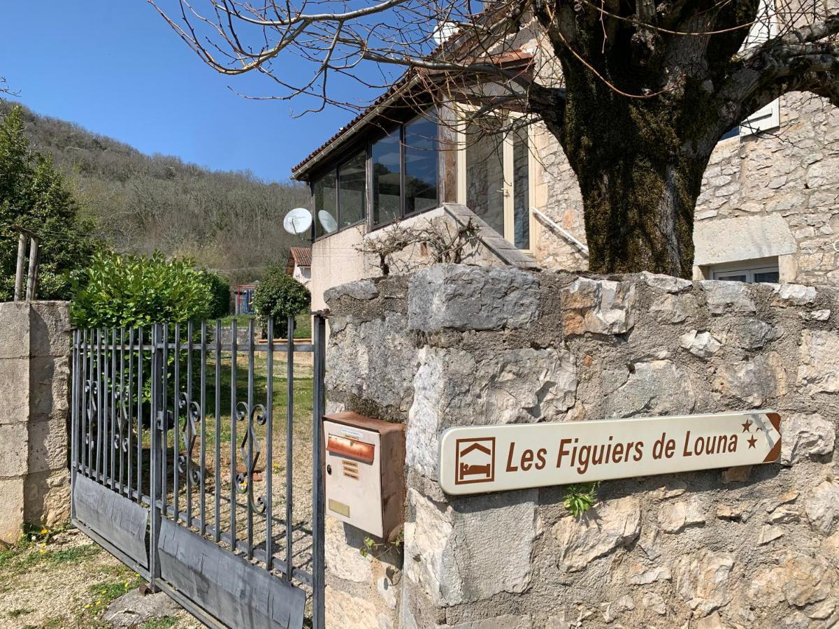 Les Figuiers de Louna - PIERRE ENSOLEILLÉE - 110 m2 et une véranda Saint-Géry Esterno foto
