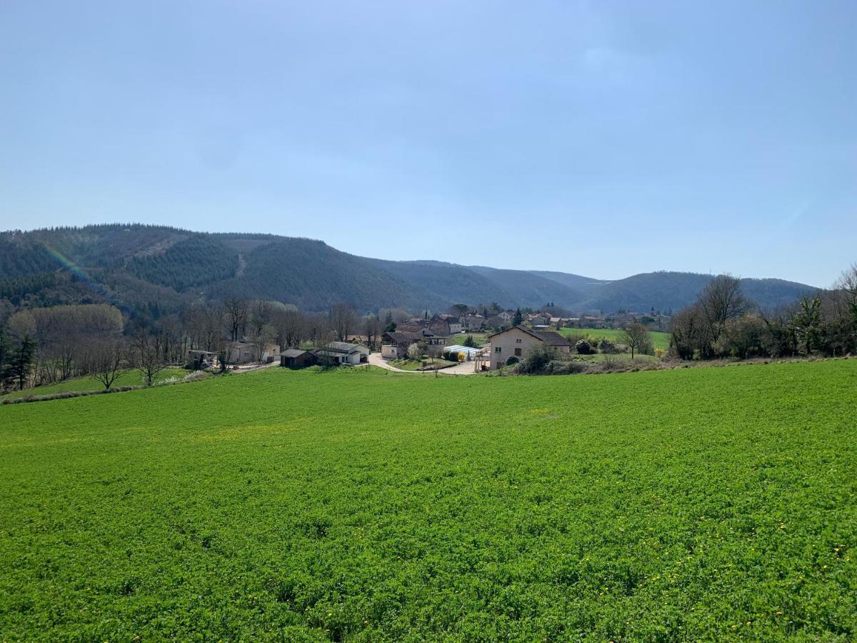 Les Figuiers de Louna - PIERRE ENSOLEILLÉE - 110 m2 et une véranda Saint-Géry Esterno foto